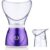 Osenjie Professional Facial Steamer