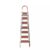 7 Step Household Ladder