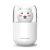 300ml The Bear Mist Humidifier