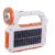 Handheld Solar LED Rechargeable Flashlight AB-TA163