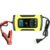 12V Intelligent Pulse Repair Charger