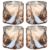 Twisted Whiskey Glass Creative Bar Glass 280ml Soft Gold