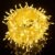 LED Fairy String Light Inter-Connecting Warm White 20M ZYF-79L